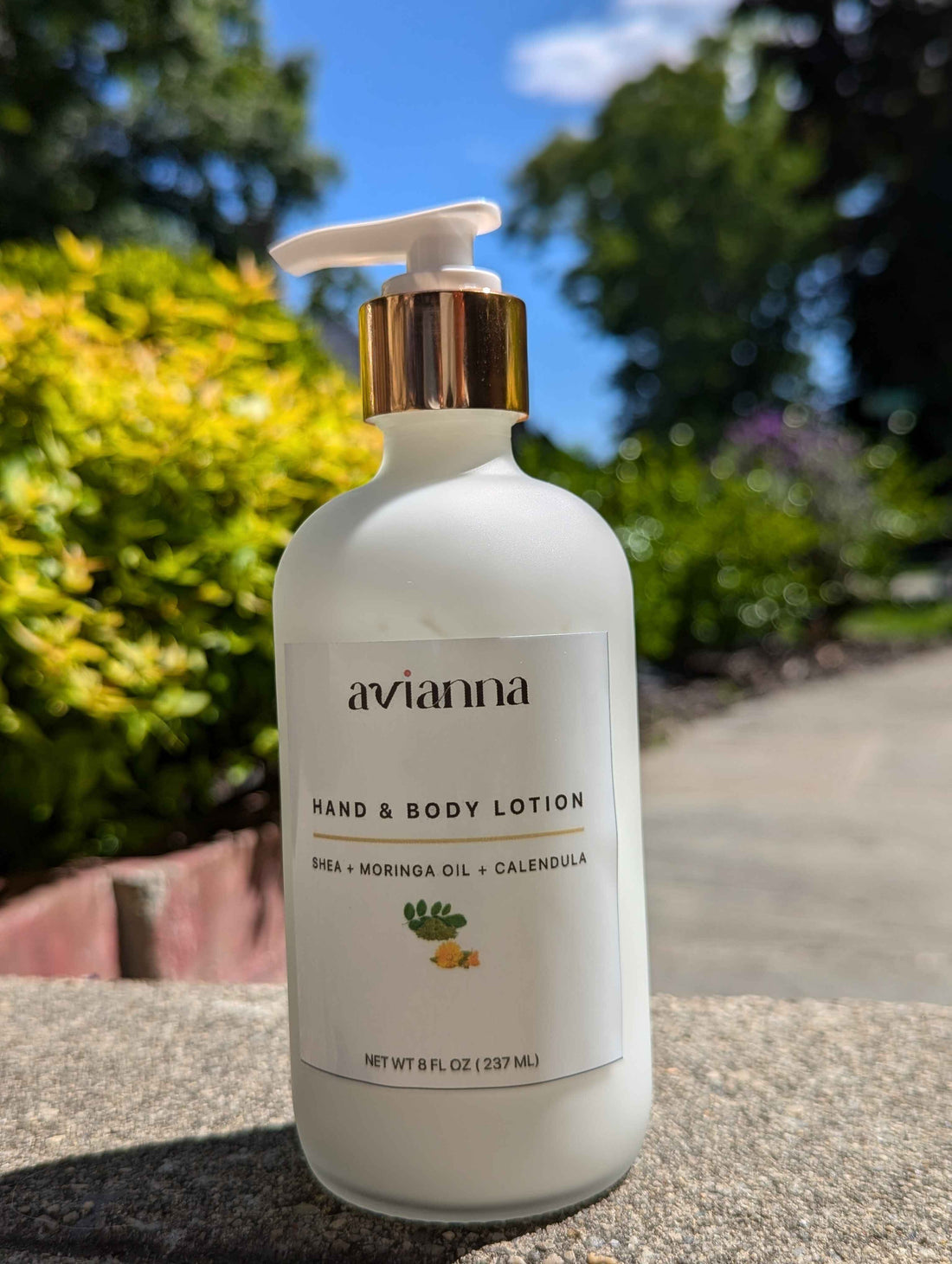 Moringa Hand &amp; Body lotion